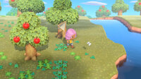 Nintendo Animal Crossing: New Horizons Standard DE, E Nintendo Switch